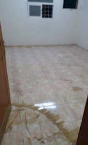 شقه للايجار محاسن