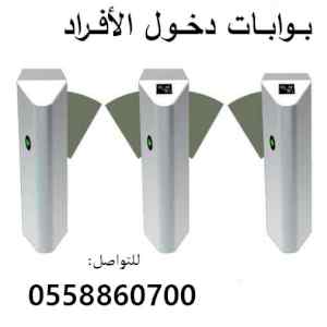 بوابات دخول الأفراد physical security
