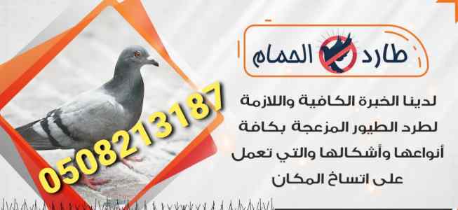 شركة تركيب اشواك الحمام بالمدينة المنورة