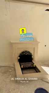 مشبات