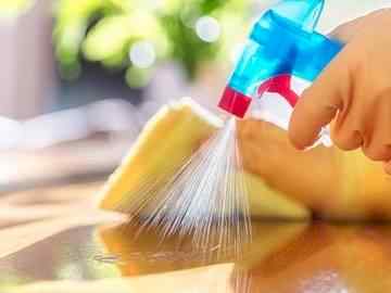 شركة مكافحة حشرات بالجبيل خبرة بارخص الاسعار