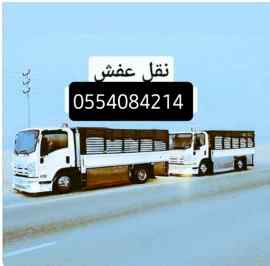 دينا نقل عفش حي المونسية 0554084214
