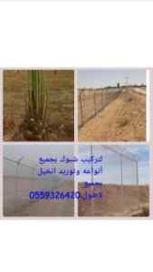  تركيب شبوك وتوريد نخيل