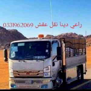 دينا طش اغراض القديمة حي النخيل 0531962069