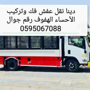 دينا نقل اثاث الأحساء الهفوف 