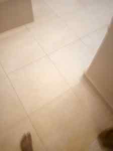 دينا طش اغراض القديمة حي الندوة 0531962069