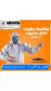شركة مكافحة رش مبيدات الوزغ بالمدينة المنورة 