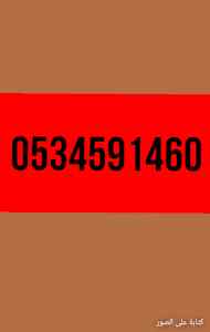 راعي دينا نقل عفش بضائع0534591460حي السلي