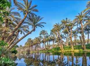 الان تمتع الان بأجواء الريف المصري 