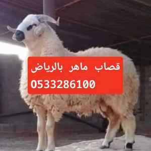 قصاب ماهر جنوب الرياض 0َ533286100 