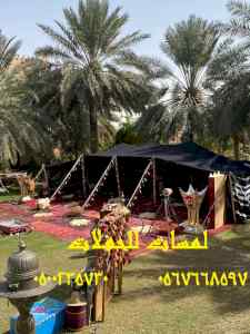  تأجير كنب جلد ابيض ,كراسي فندقية , طاولات