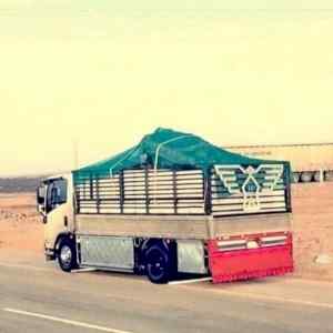 دينا طش مخلفات بالرياض 0536236502