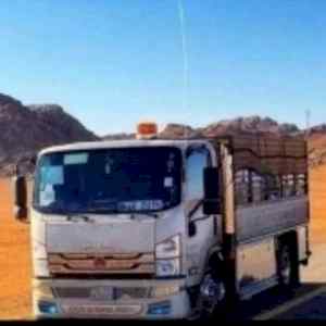 نجار فك تركيب حي النرجس 