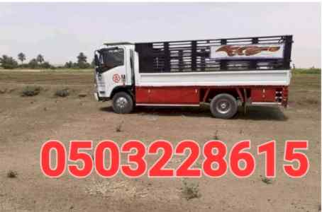 دينا نقل عفش حي العزيزية 0503228615