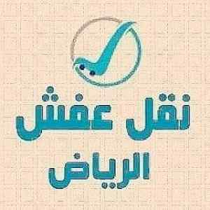 دينا نقل عفش بحي لبن 0539058345