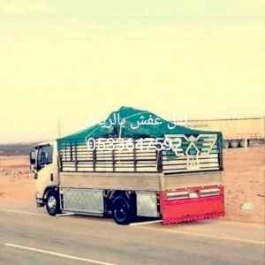 دينا طش عفش قديم بالرياض 