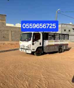 دينا طش الاثاث القديم بالرياض 0559656725 
